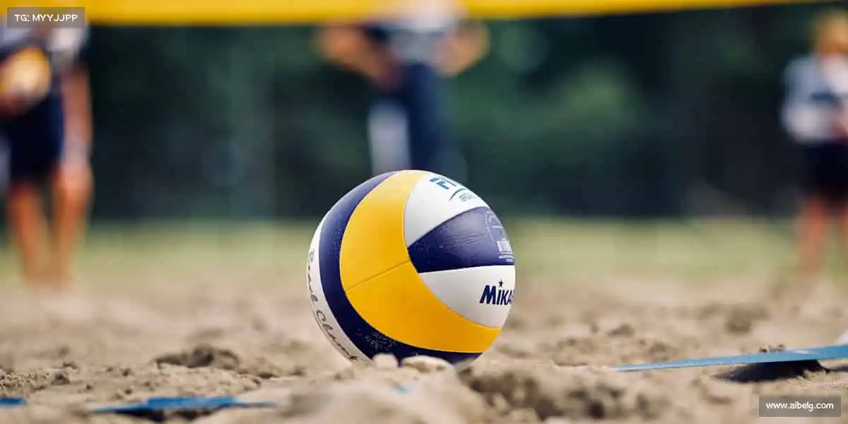 为什么选择我们